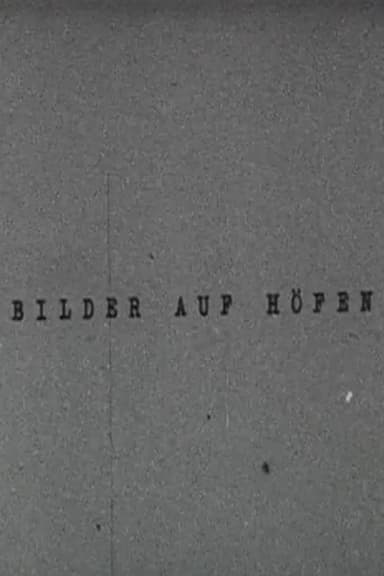 Bilder auf Höfen